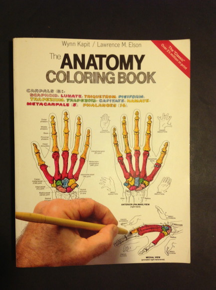 THE ANATOMY COLORING BOOK