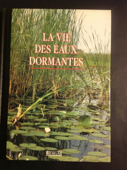 LA VIE DES EAUX DORMANTES