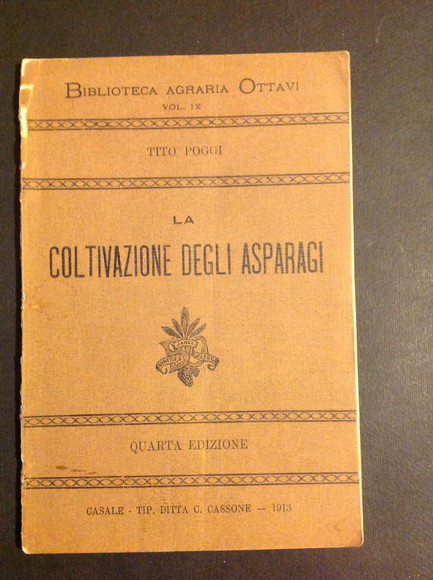 LA COLTIVAZIONE DEGLI ASPARAGI