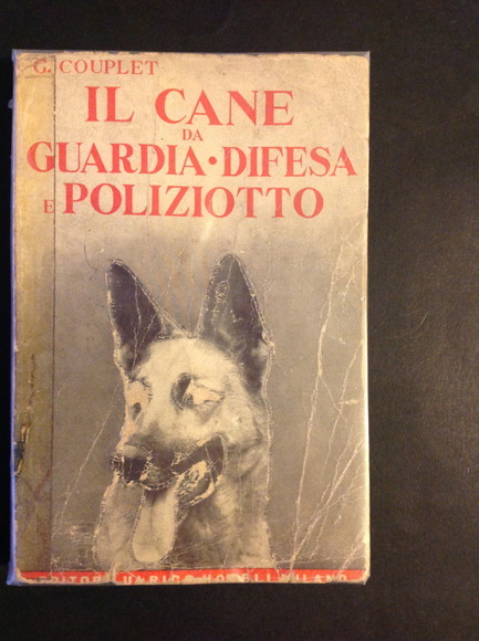 COME ALLEVARE ED ADDESTRARE IL CANE DA GUARDIA DA DIFESA …