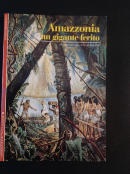 AMAZZONIA UN GIGANTE FERITO