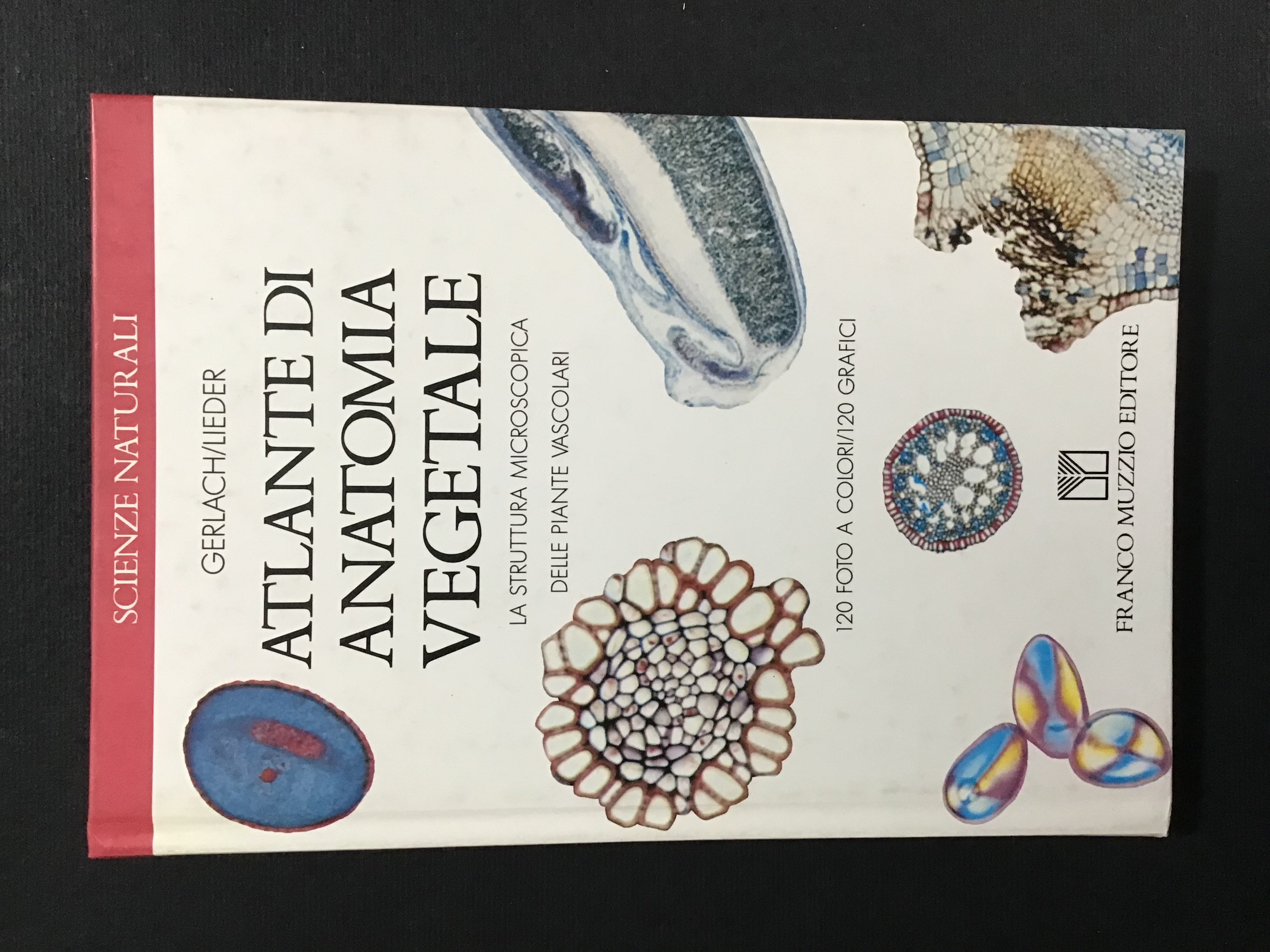 ATLANTE DI ANATOMIA VEGETALE