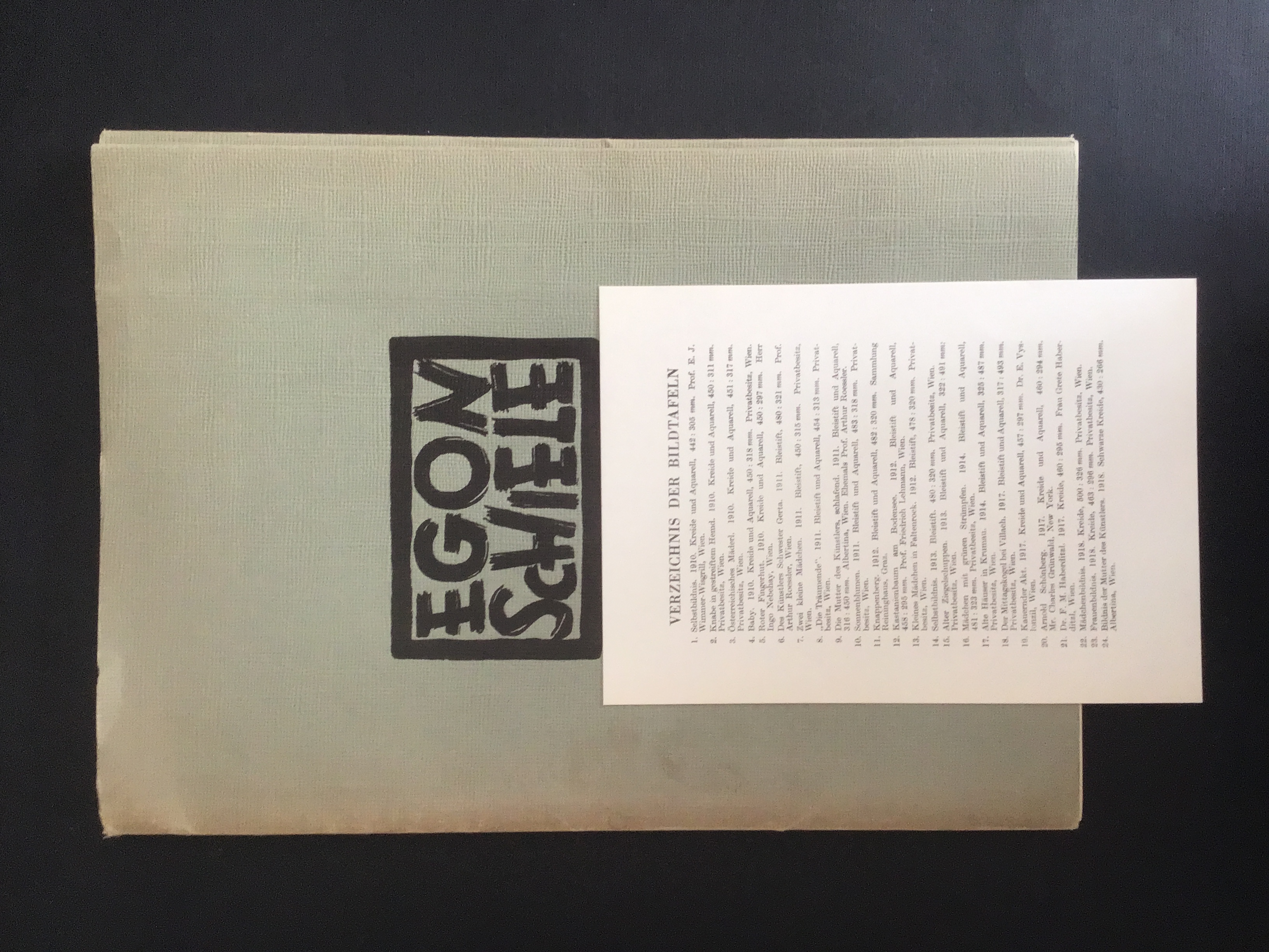 EGON SCHIELE ALS ZEICHNER