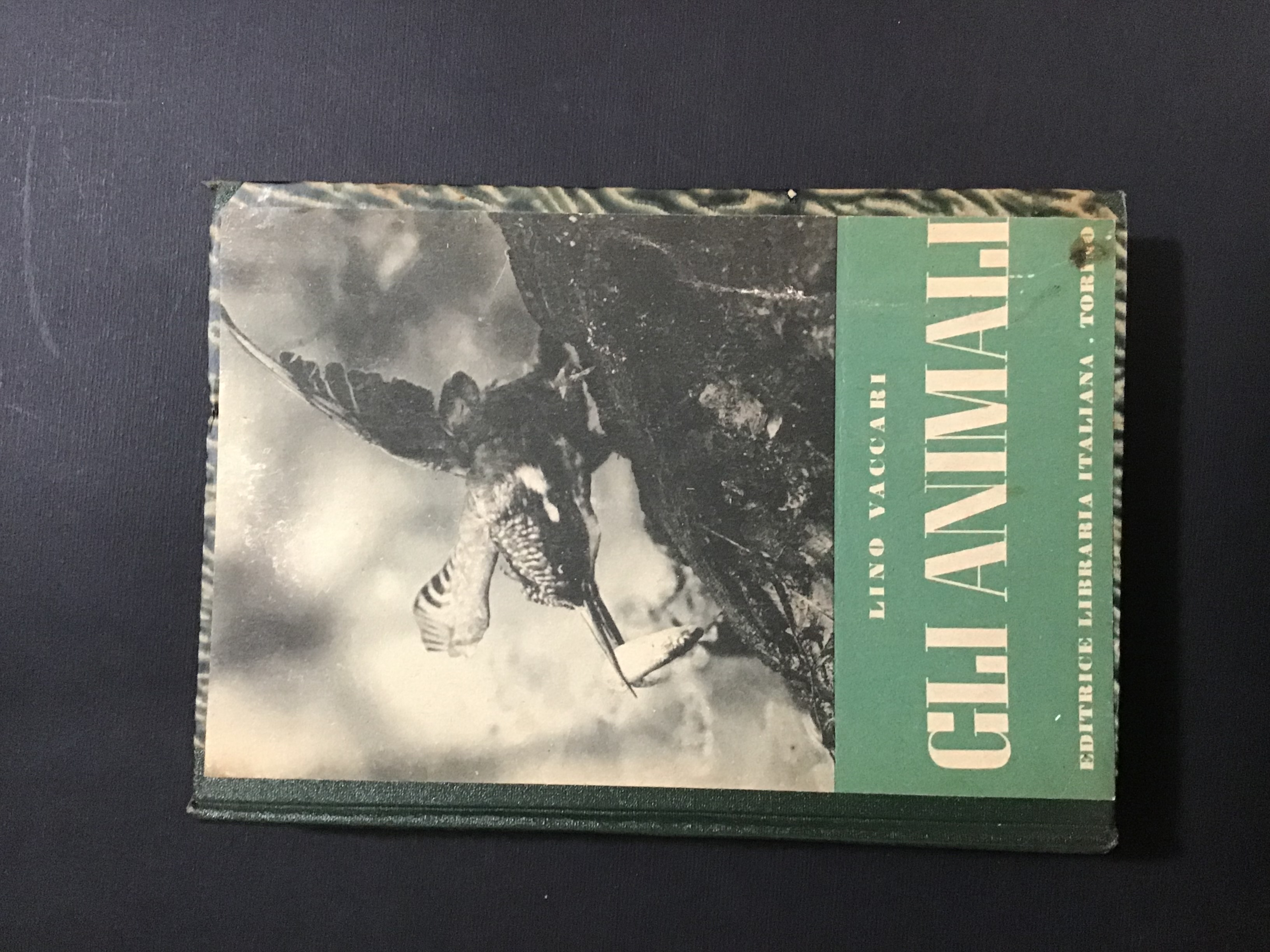 GLI ANIMALI. COMPENDIO DI ZOOLOGIA DESCRITTIVA / LE PIANTE. BOTANICA …