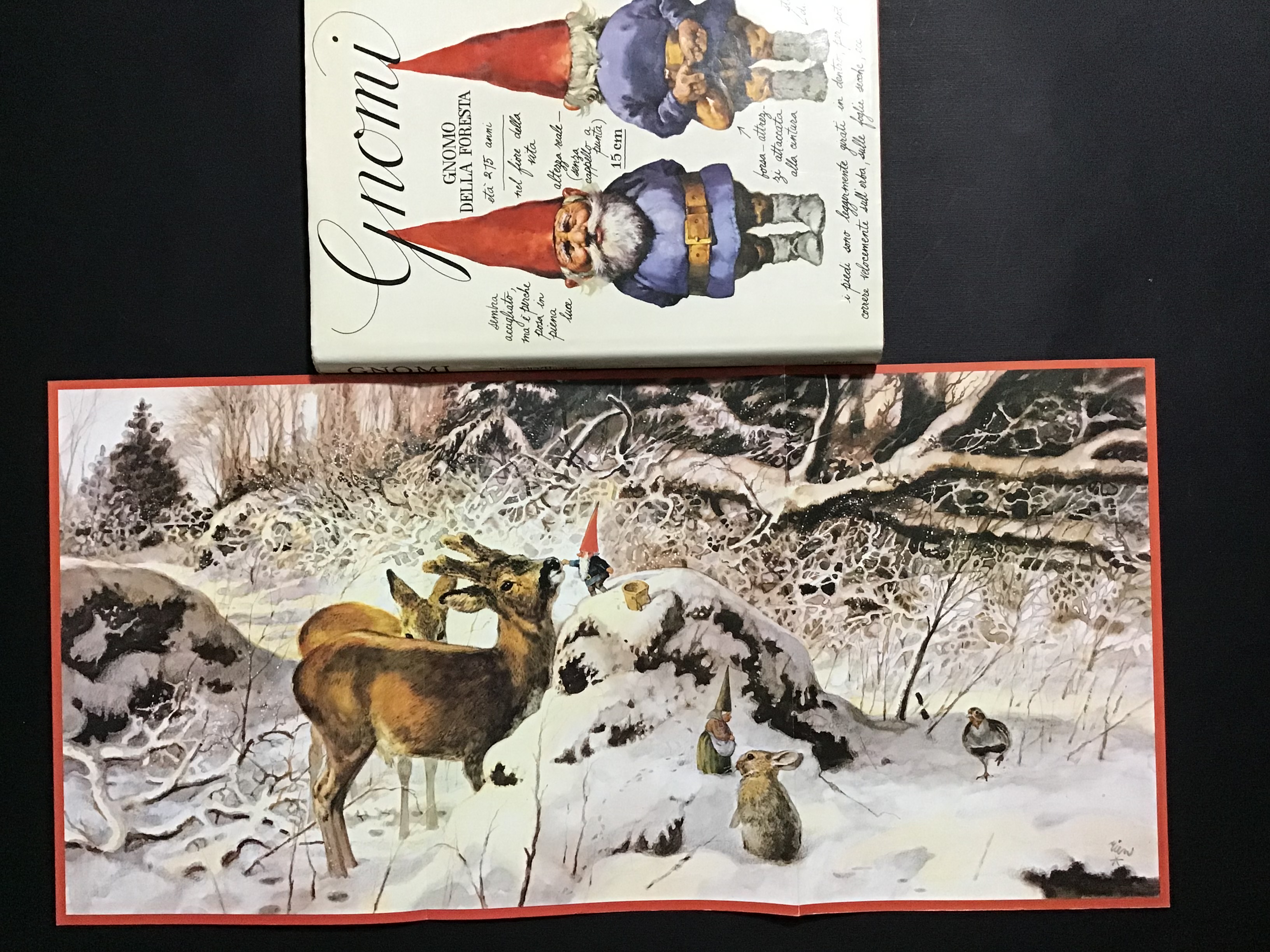 GNOMI. PRIMA EDIZIONE CON POSTER
