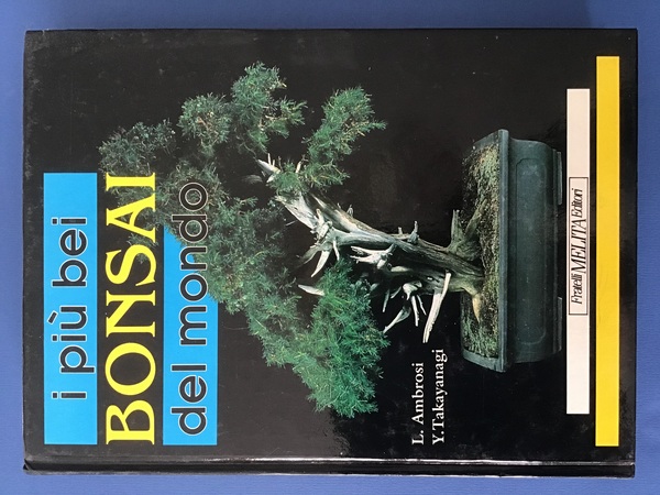 I PIU' BEI BONSAI DEL MONDO