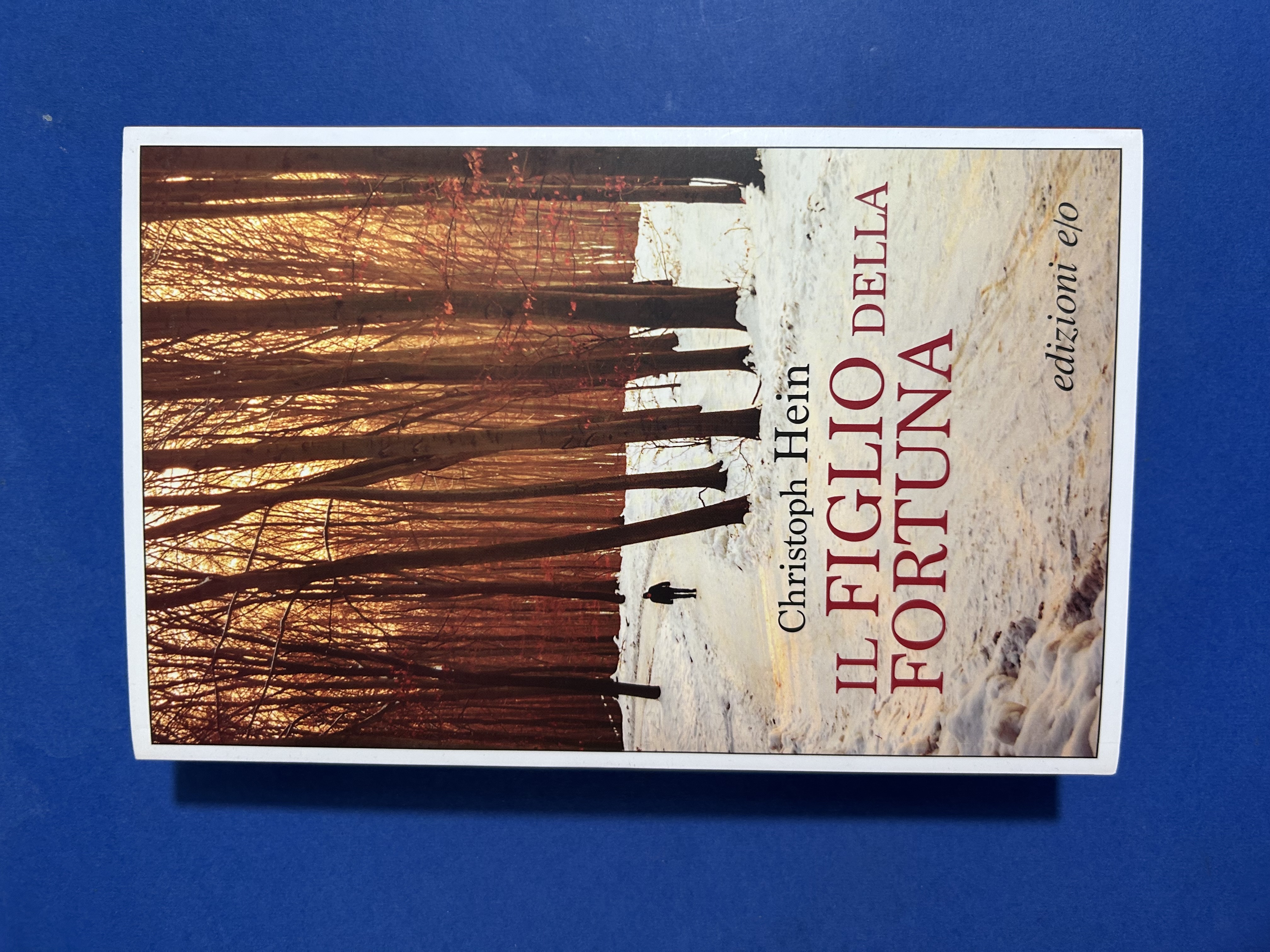 IL FIGLIO DELLA FORTUNA