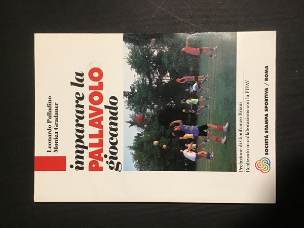 IMPARARE LA PALLAVOLO GIOCANDO