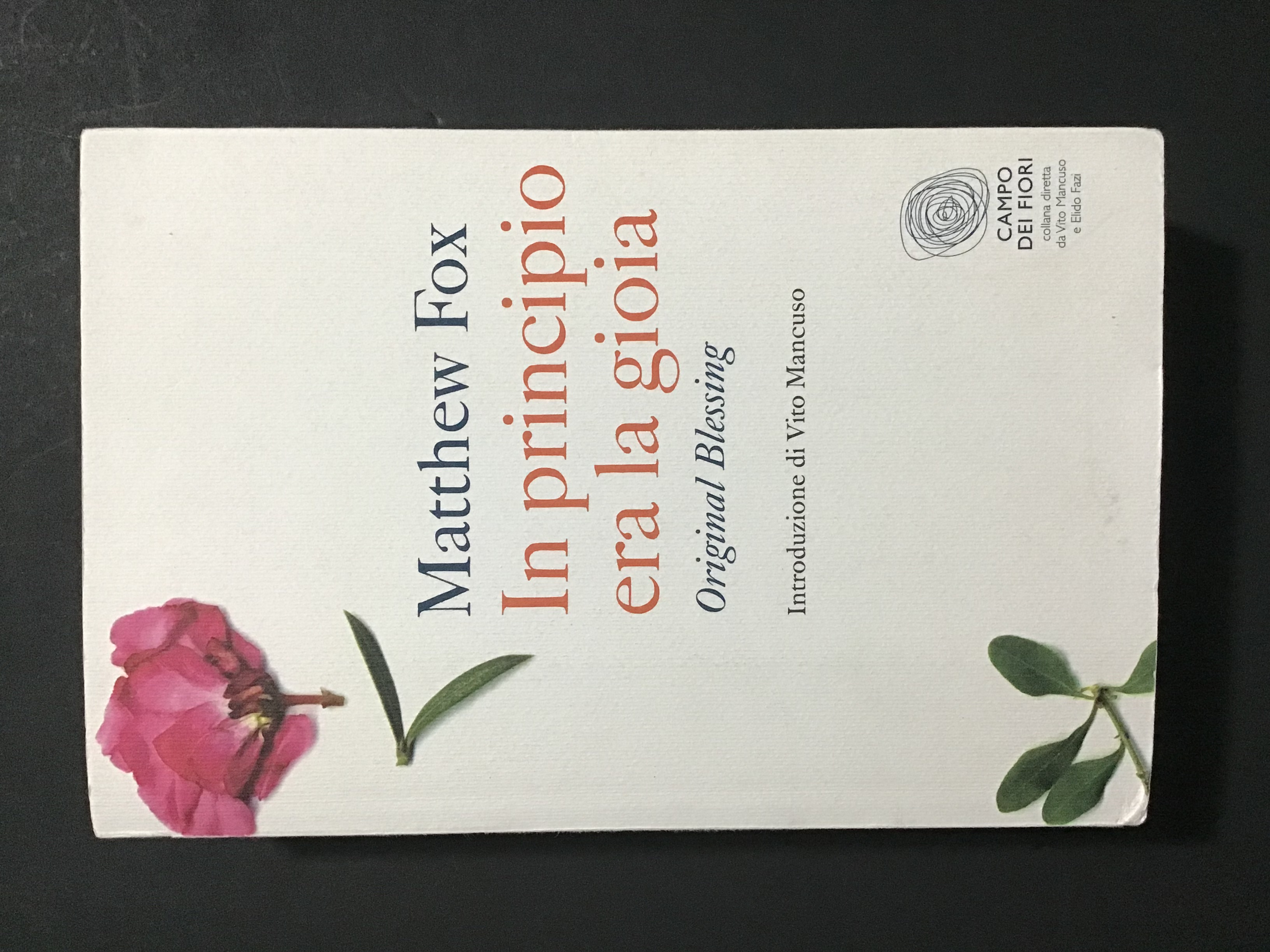 IN PRINCIPIO ERA LA GIOIA. ORIGINAL BLESSING