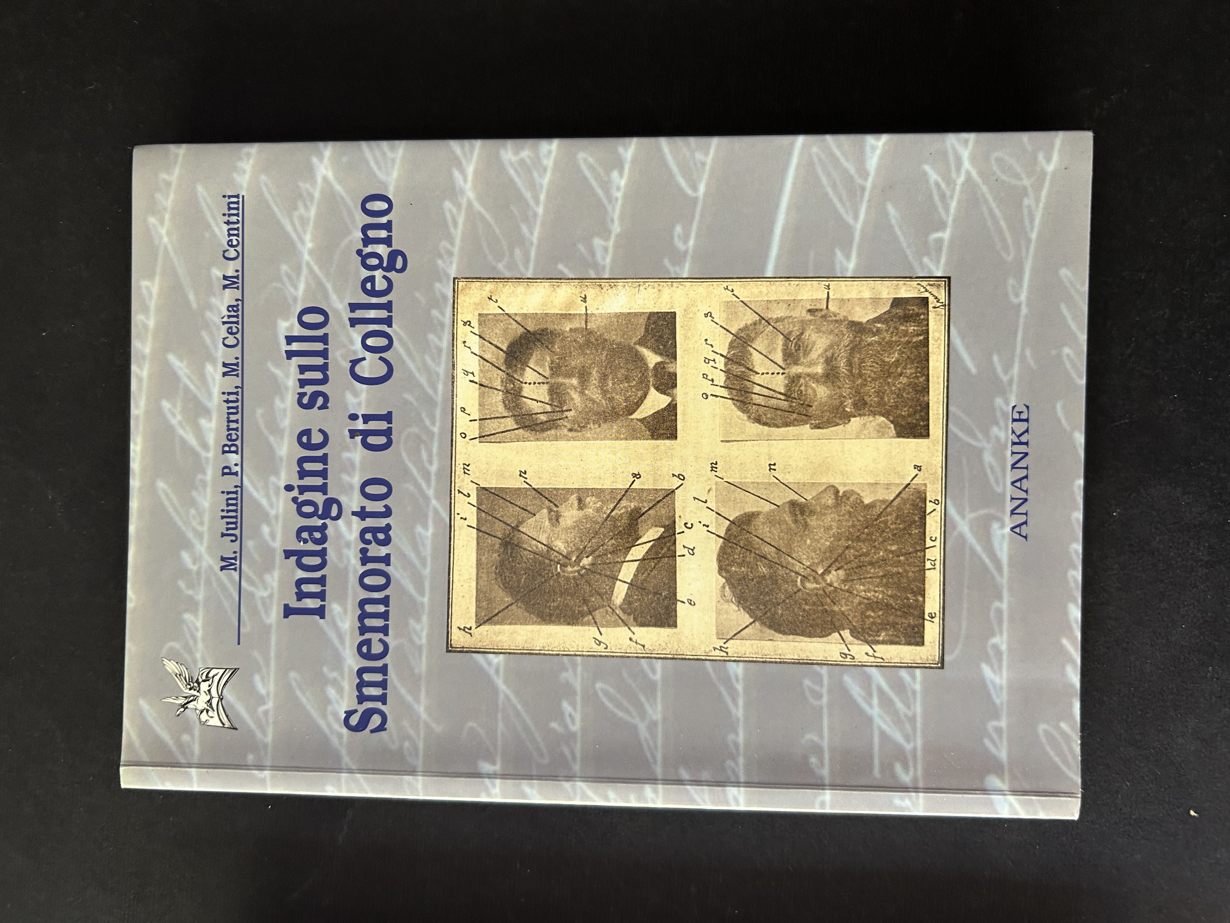 INDAGINE SULLO SMEMORATO DI COLLEGNO