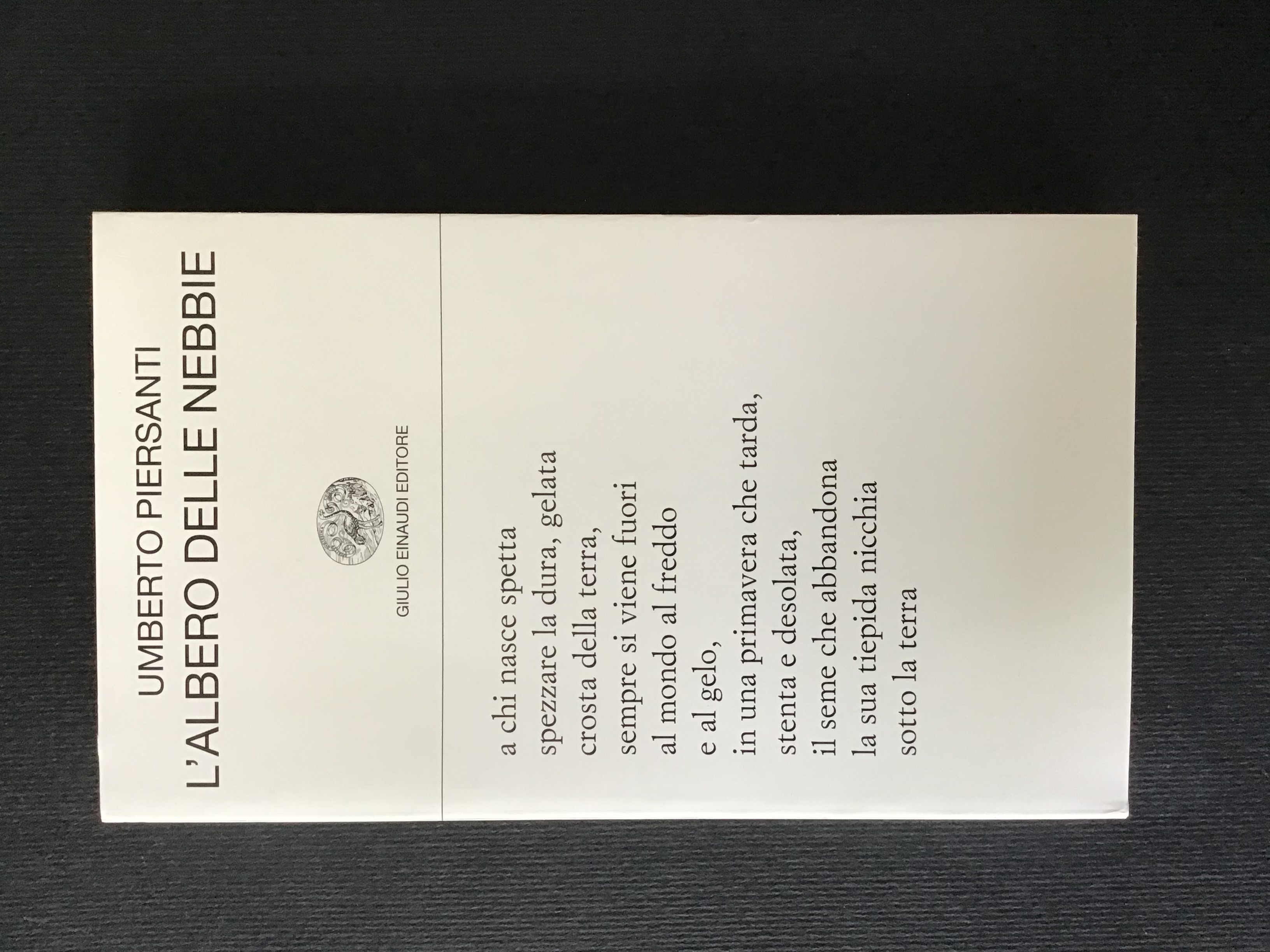 L'ALBERO DELLE NEBBIE