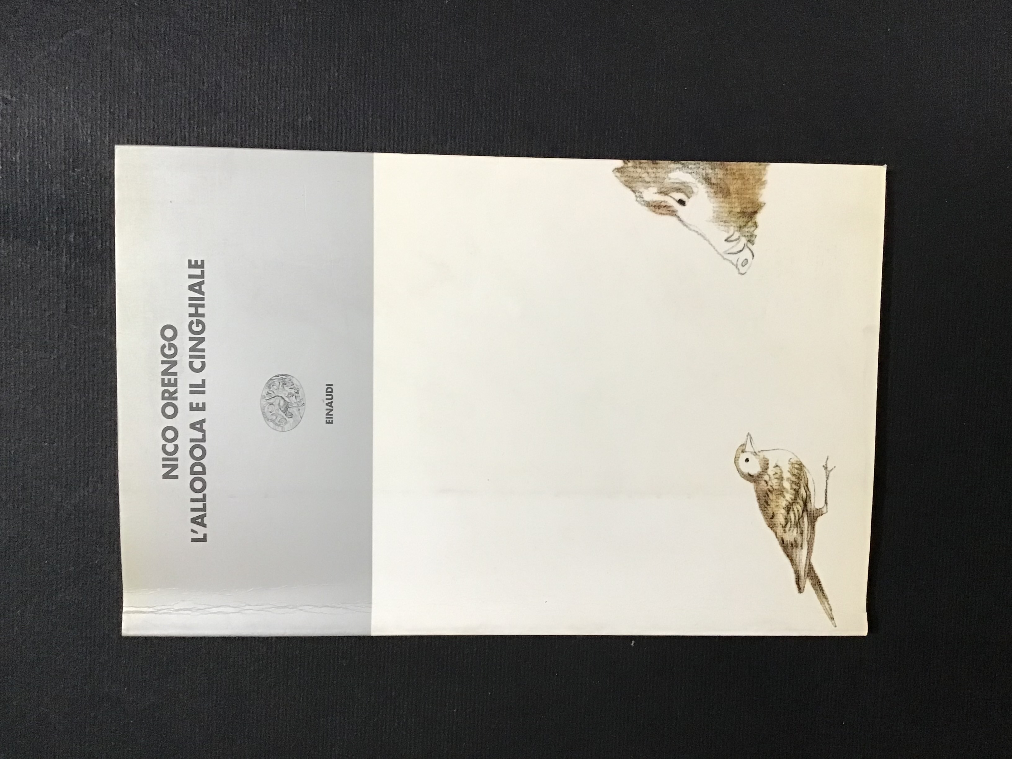 L'ALLODOLA E IL CINGHIALE