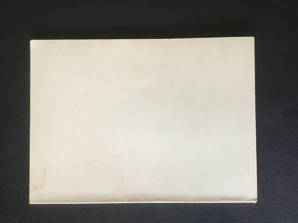 L'IMPRESSIONISMO NELLA SCULTURA