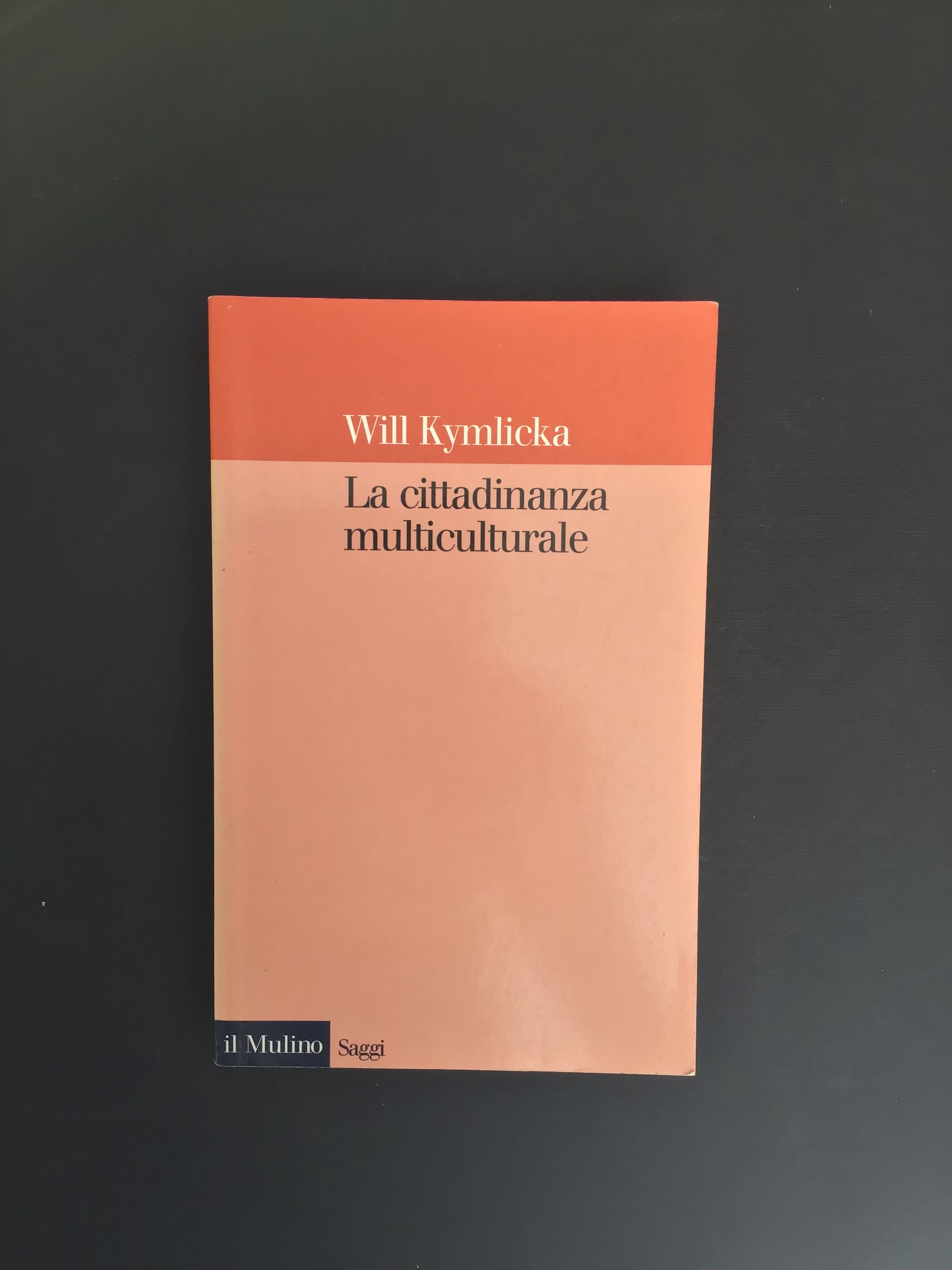 LA CITTADINANZA MULTICULTURALE