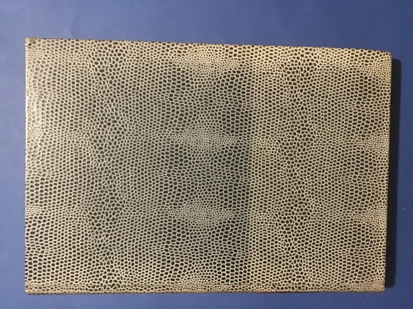 LA COPPIA CRIMINALE. STUDIO DI PSICOLOGIA MORBOSA