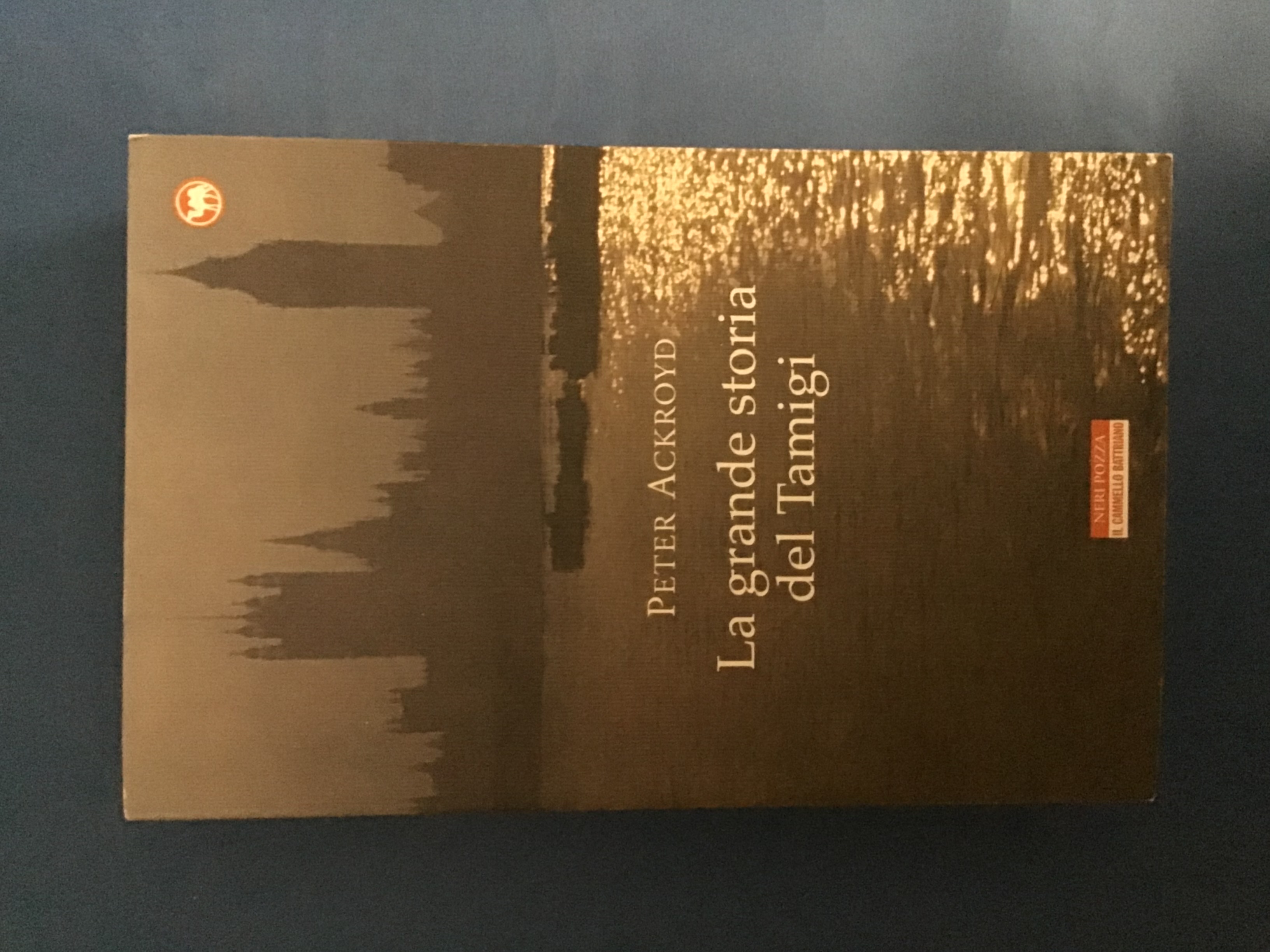 LA GRANDE STORIA DEL TAMIGI