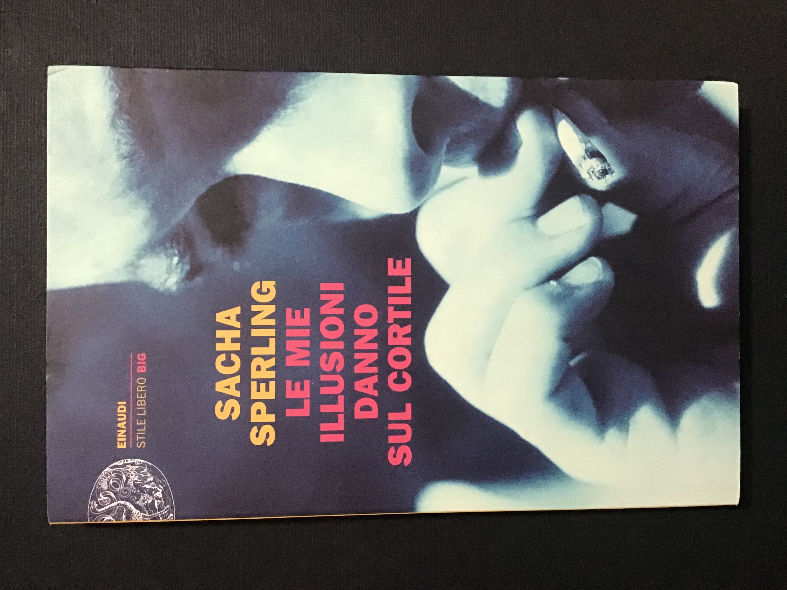 LE MIE ILLUSIONI DANNO SUL CORTILE