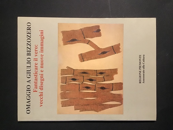 OMAGGIO A GIULIO BIZZOZERO. FANTASTICARE IL VERO: VECCHI DISEGNI E …