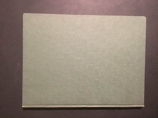 PALAZZI E CURIOSITA' STORICHE TORINESI