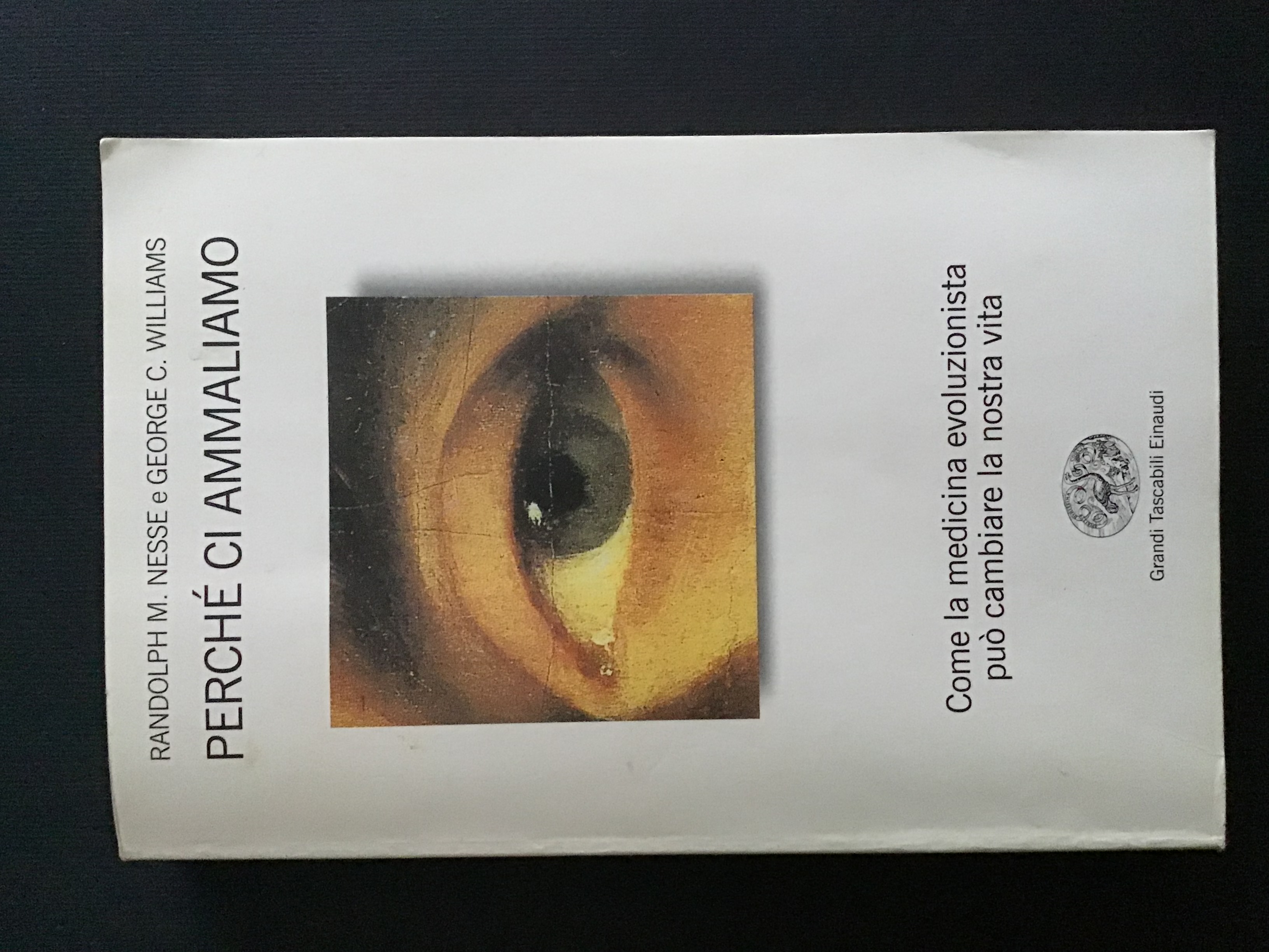 PERCHE' CI AMMALIAMO