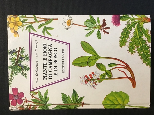 PIANTE E FIORI DI CAMPAGNA E DI BOSCO