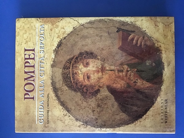 POMPEI. GUIDA ALLA CITTA' SEPOLTA