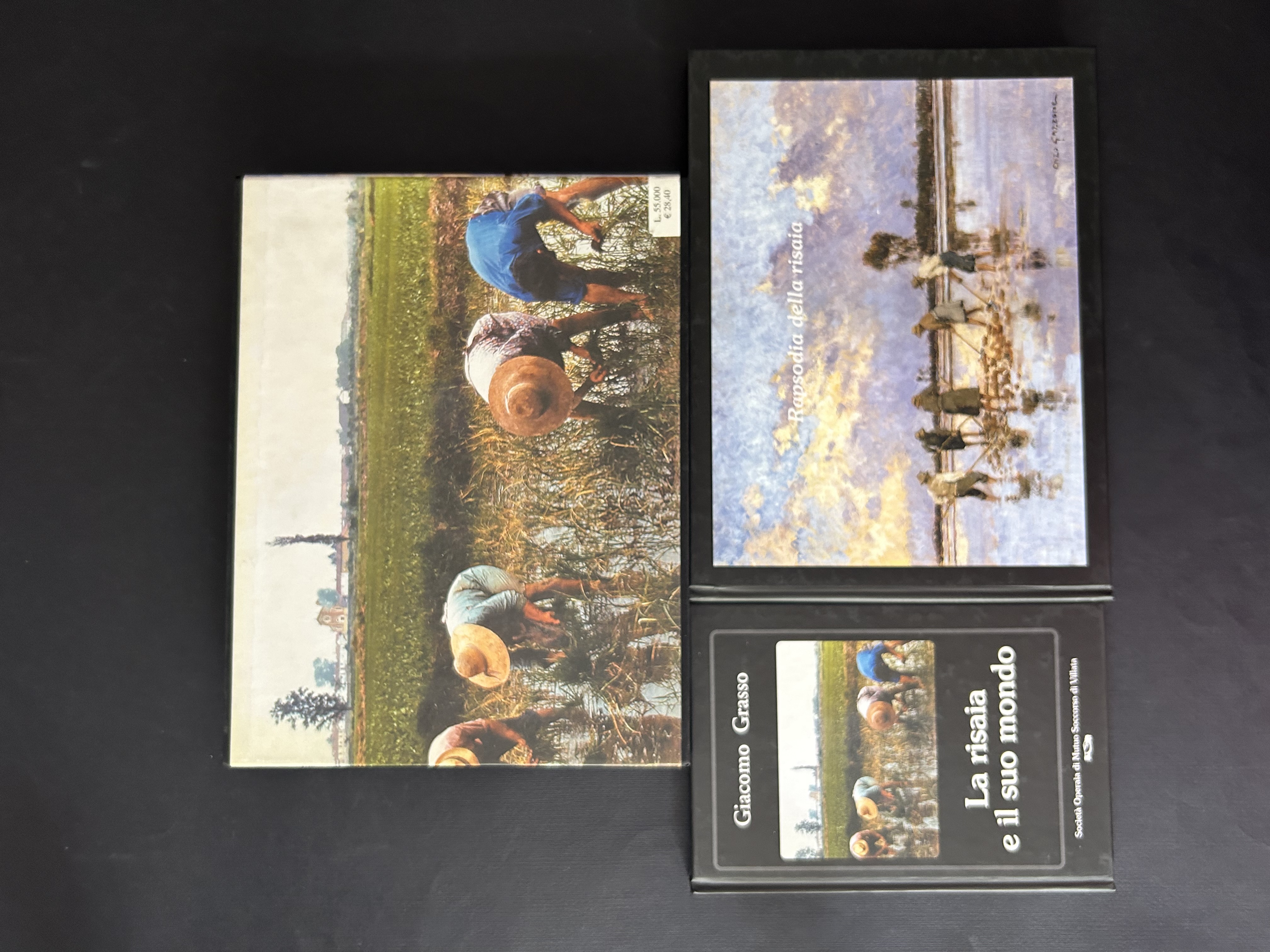 RAPSODIA DELLA RISAIA / LA RISAIA E IL SUO MONDO