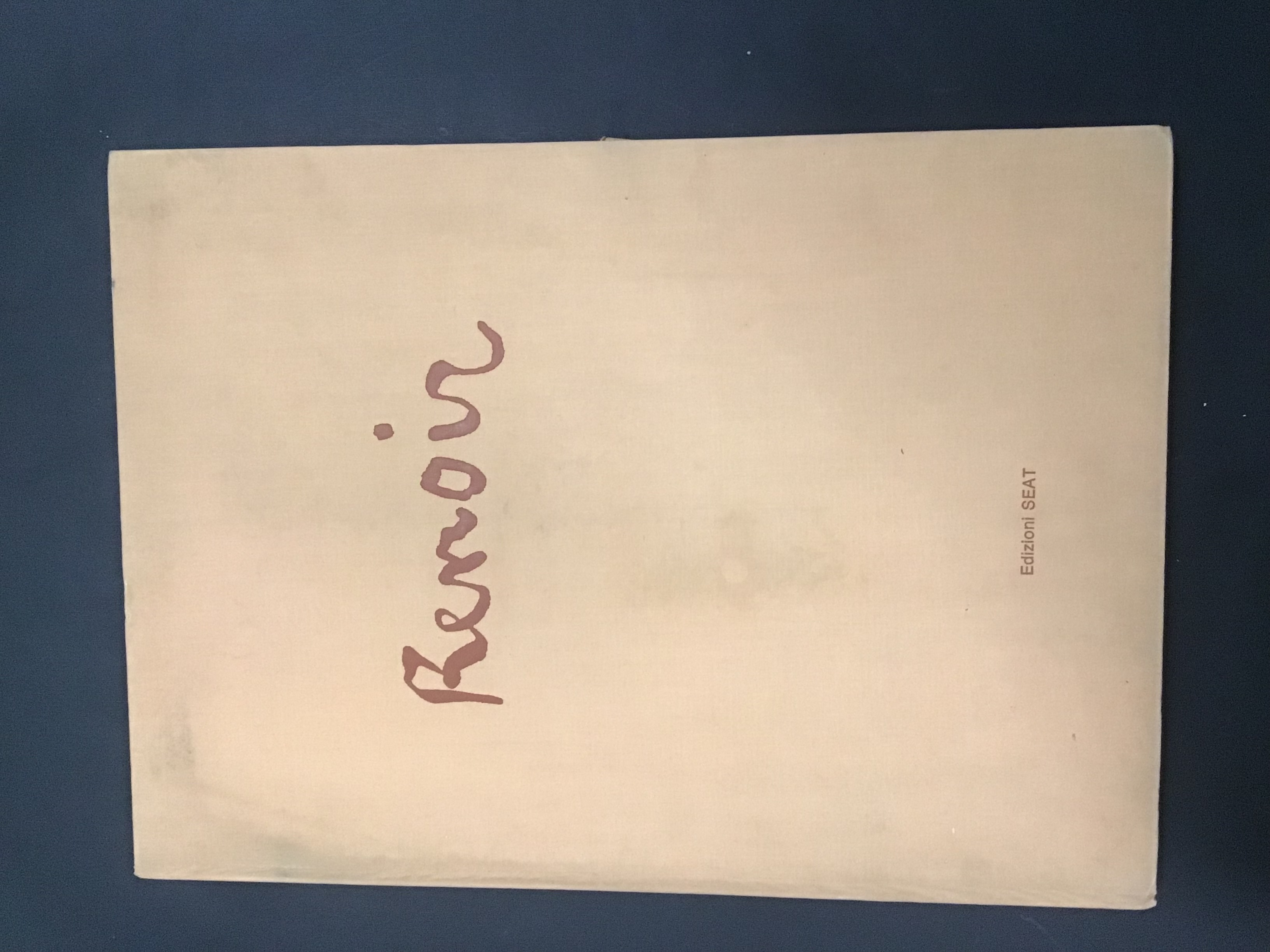 RENOIR COFANETTO 42 TAVOLE