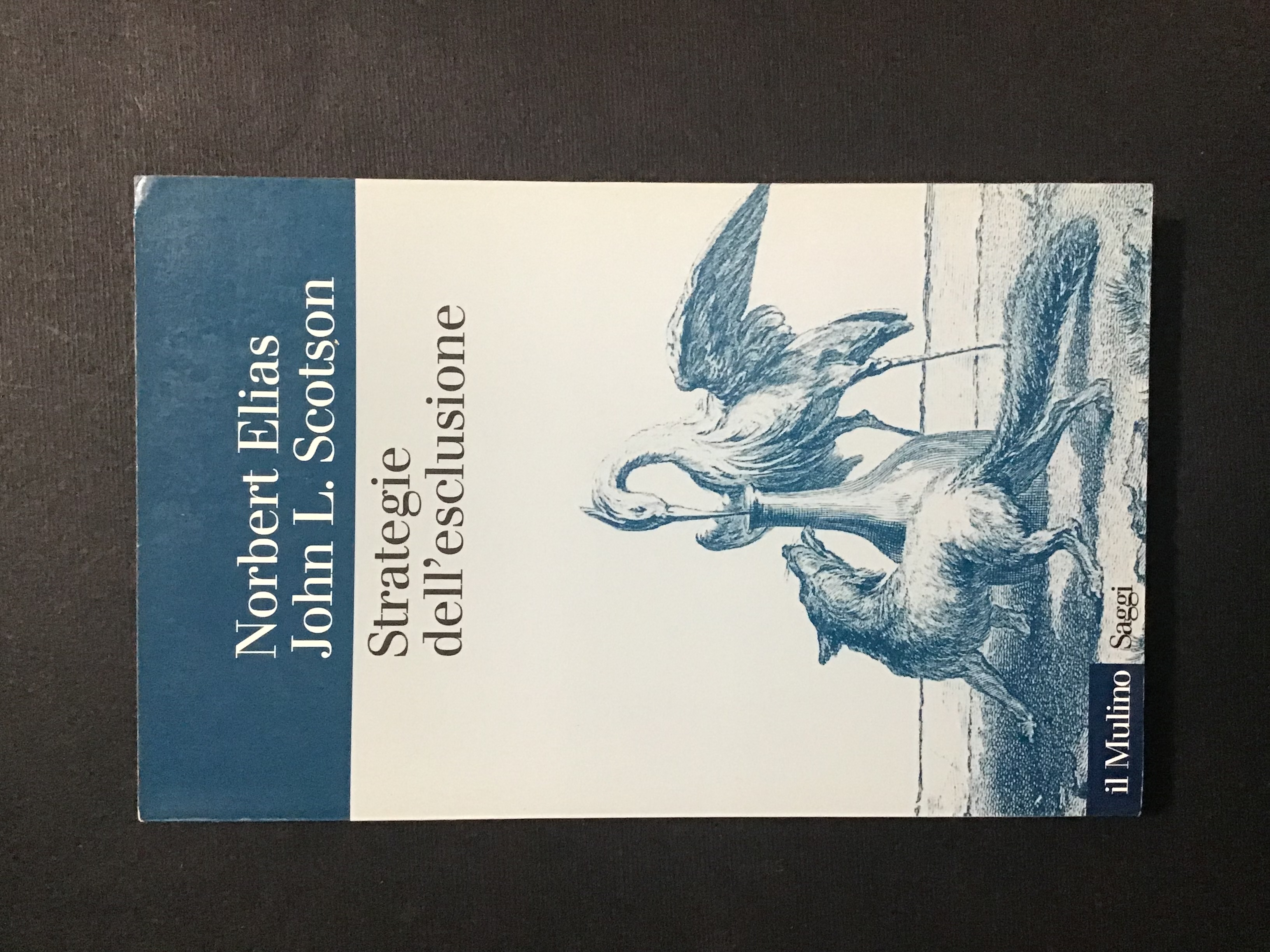 STRATEGIE DELL'ESCLUSIONE