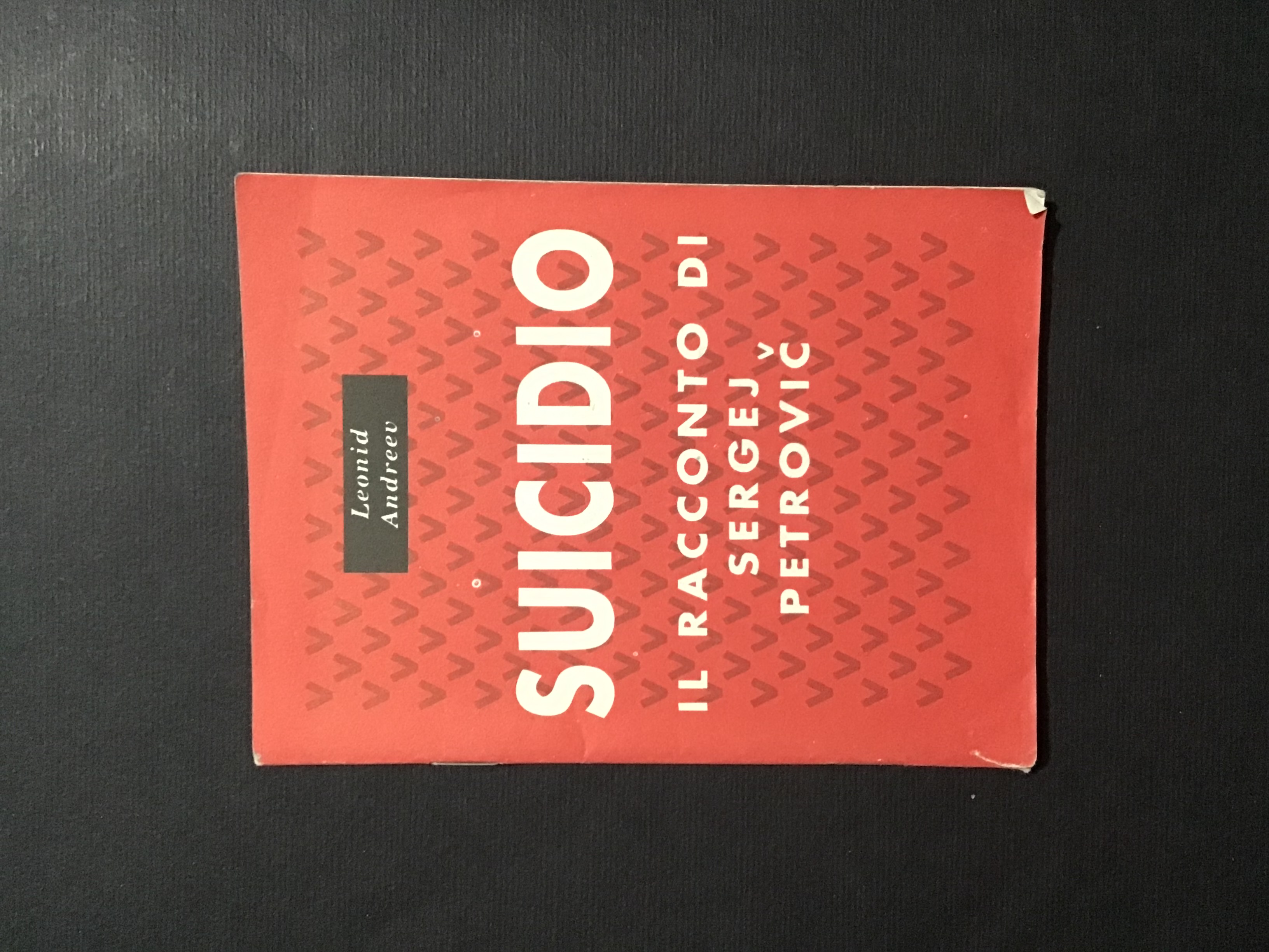 SUICIDIO. IL RACCONTO DI SERGEJ PETROVIC