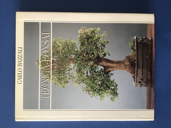 TECNICA BONSAI
