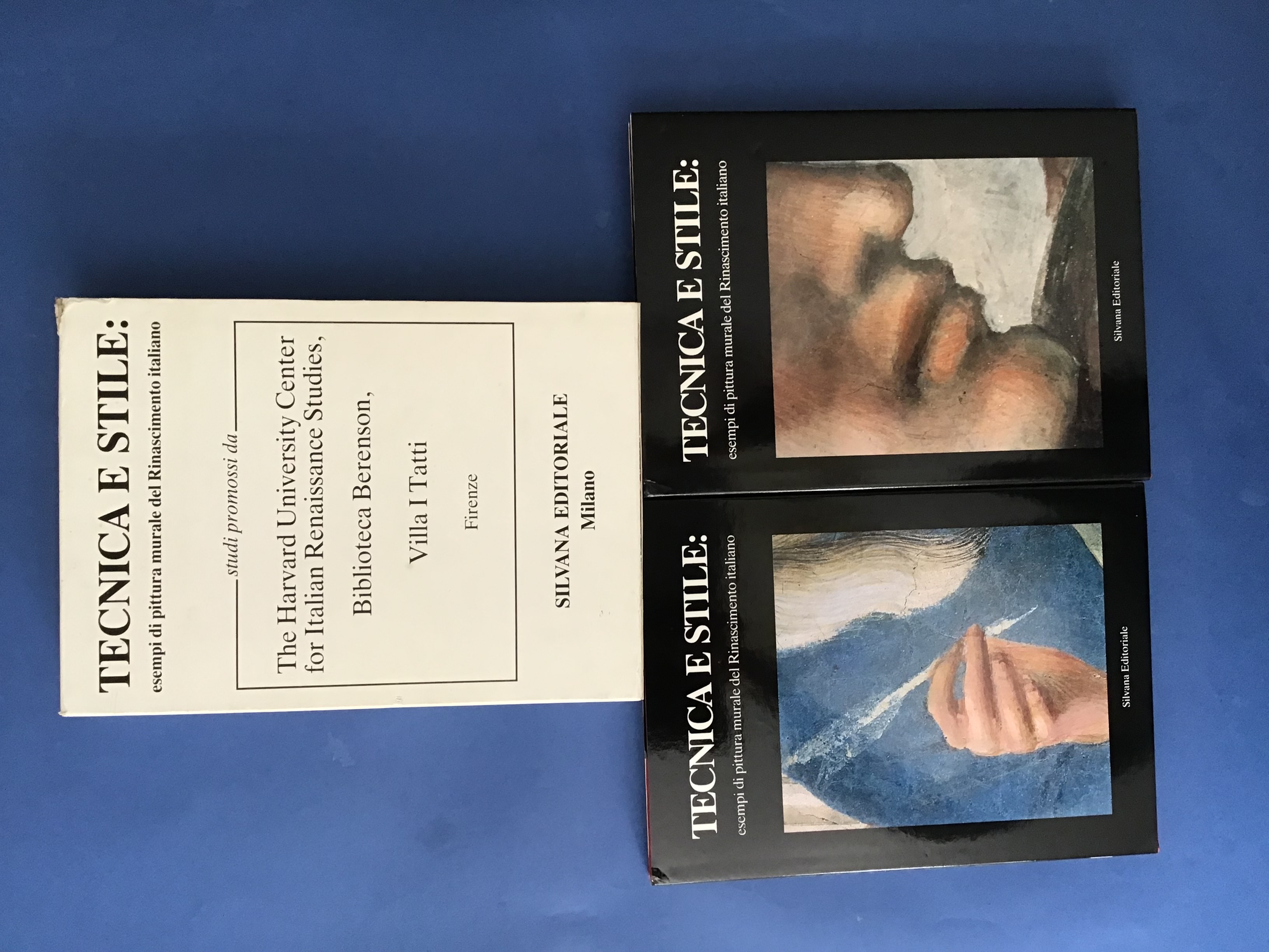 TECNICA E STILE: ESEMPI DI PITTURA MURALE DEL RINASCIMENTO ITALIANO …