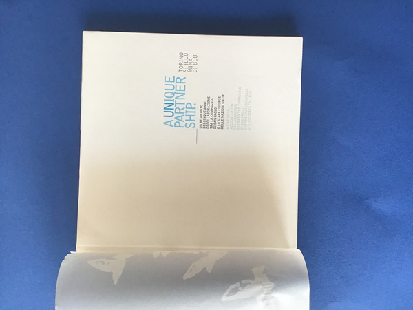 TORINO SI ILLUMINA DI BLU