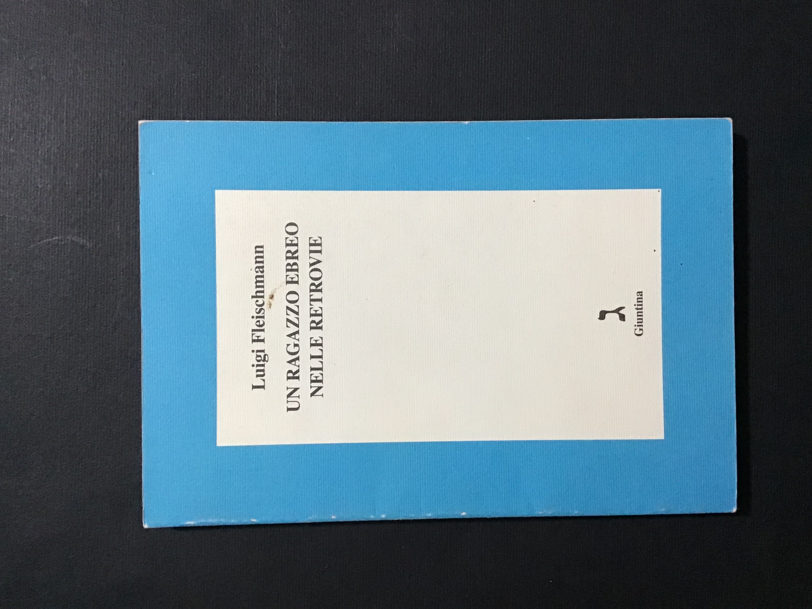 UN RAGAZZO EBREO NELLE RETROVIE