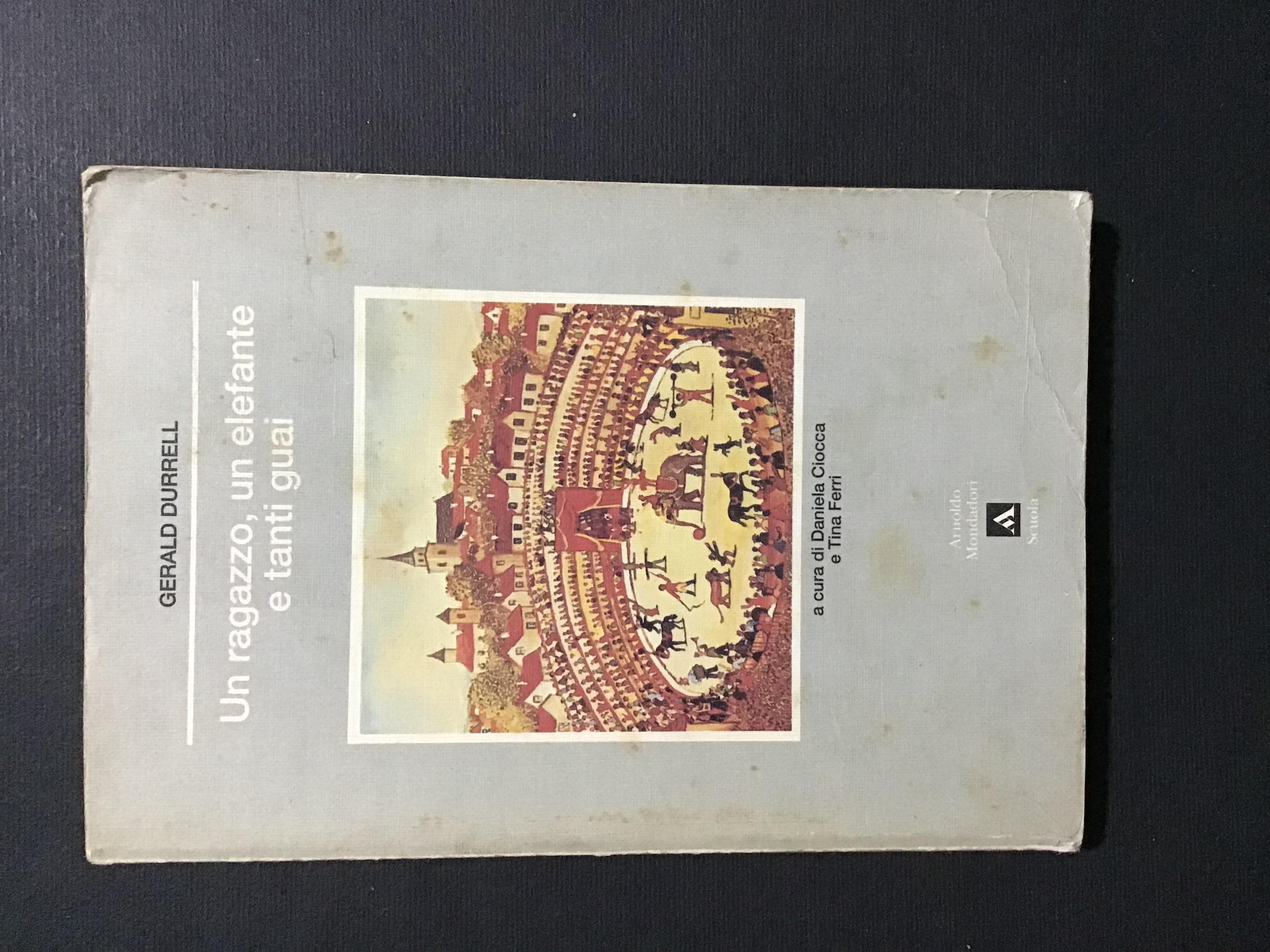 UN RAGAZZO, UN ELEFANTE E TANTI GUAI