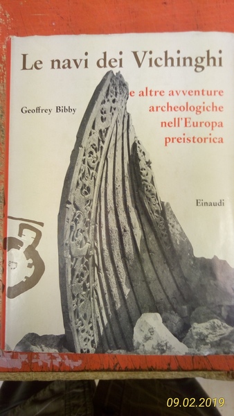 Le navi dei Vichinghi e altre avventure archeologiche nell'Europa preistorica.