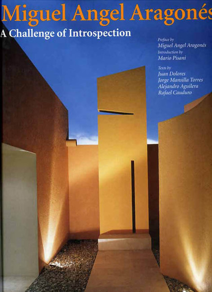 Miguel Angel Aragones. A challenge of introspection.