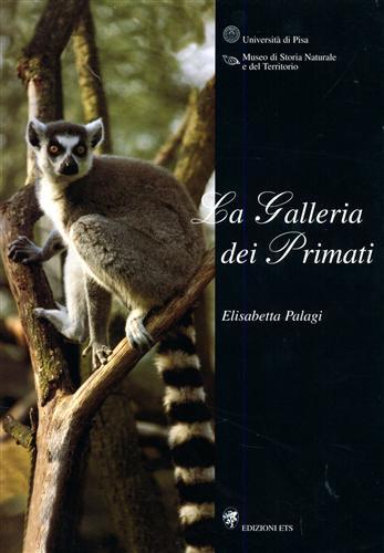 La galleria dei primati.