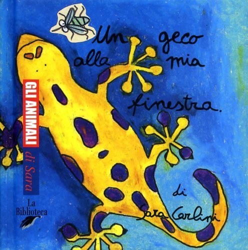 Un geco alla mia finestra.