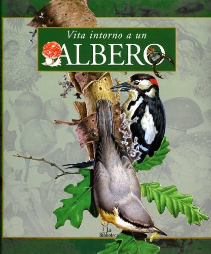 Vita intorno a un albero.