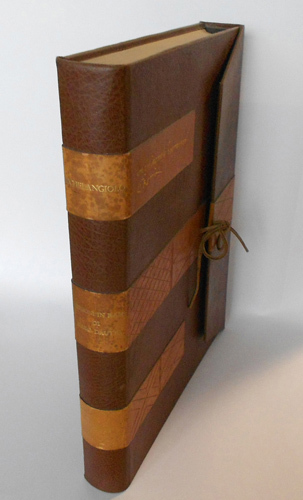 Michelangiolo Buonarroti. La presente edizione con 17 tavv.incise in rame …