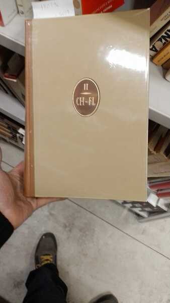Grande Dizionario Italiano dell'uso. Vol.II: CH-FL.