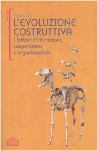 L' evoluzione costruttiva. I fattori d'interazione, cooperazione e organizzazione.