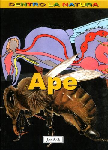 Ape.
