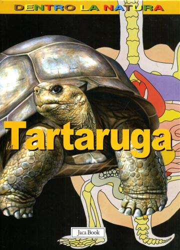 La tartaruga.