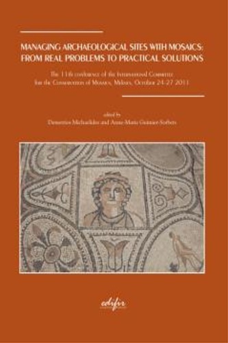 Managing archaelogical sites with mosaics:from real problems to practical solutions.