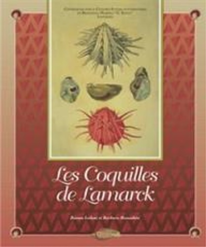 Le coquilles de Lamarck.