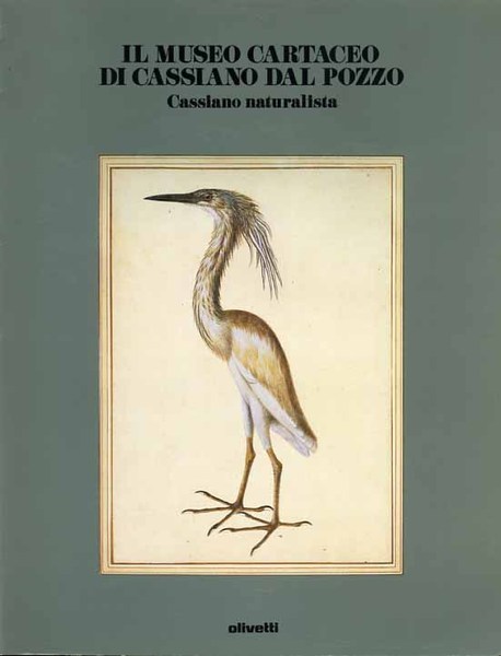 Il Museo Cartaceo di Cassiano Dal Pozzo. Cassiano naturalista.