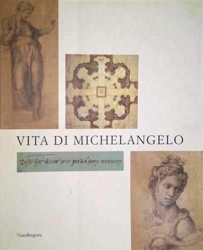 Vita di Michelangelo.