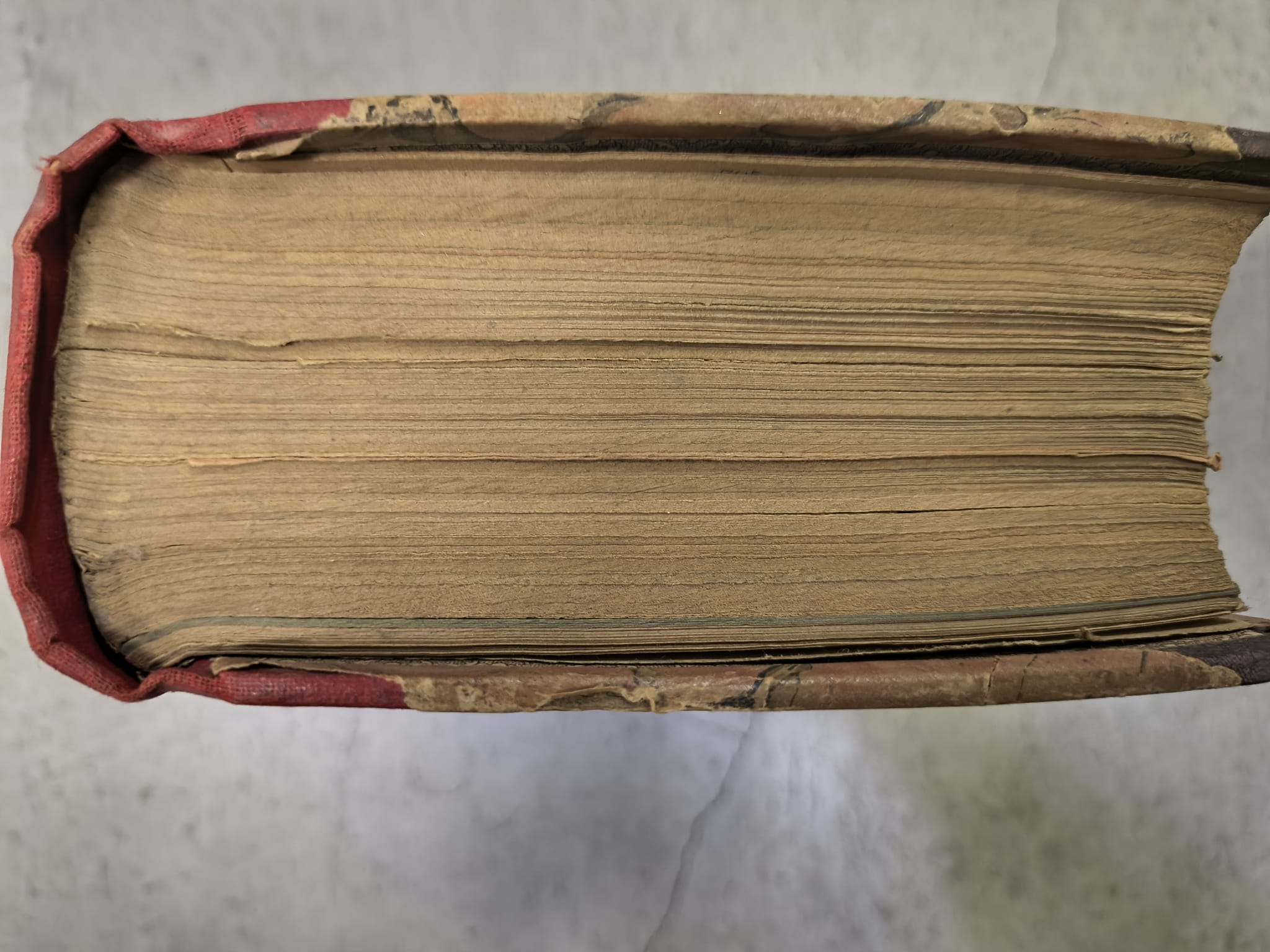 Almanacco Italiano. Piccola Enciclopedia Popolare della Vita Pratica e Annuario …